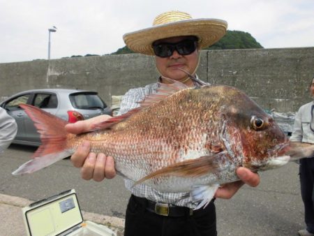 大進丸(新潟) 釣果