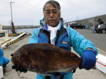 大進丸(新潟) 釣果