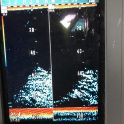 幸風（さちかぜ） 釣果