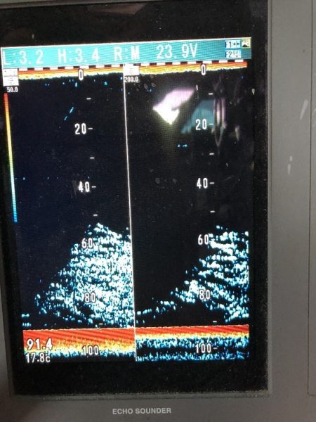 幸風（さちかぜ） 釣果