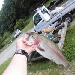 高萩ふれあいの里フィッシングエリア 釣果