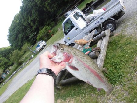 高萩ふれあいの里フィッシングエリア 釣果