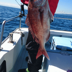 遊漁船ブルーウッズ 釣果