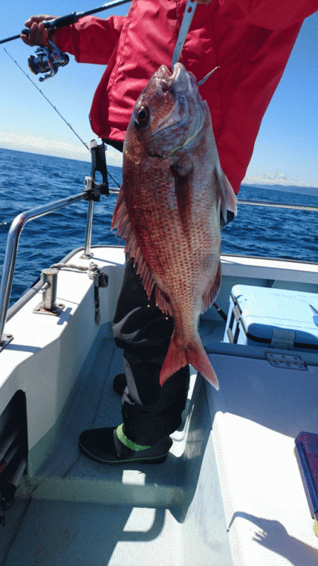 遊漁船ブルーウッズ 釣果