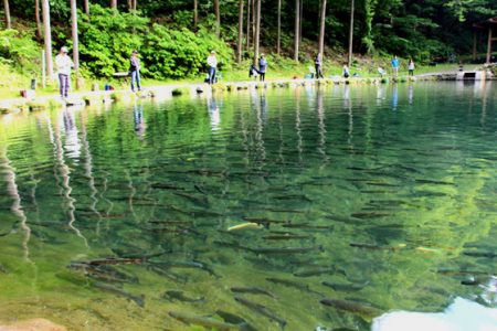 小菅トラウトガーデン 釣果