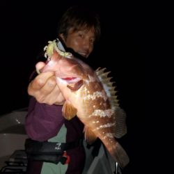 Magic(マジック) 釣果