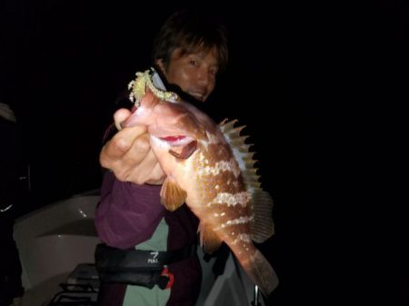 Magic(マジック) 釣果