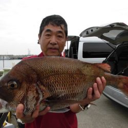 大進丸(新潟) 釣果