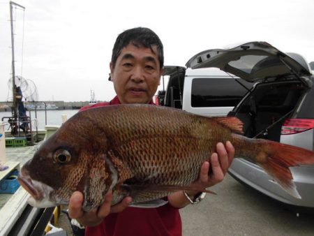 大進丸（新潟） 釣果