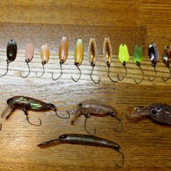 小菅トラウトガーデン 釣果