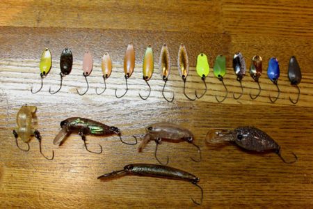 小菅トラウトガーデン 釣果