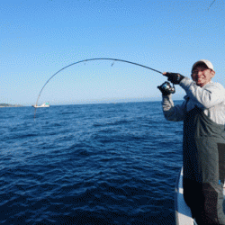 遊漁船ブルーウッズ 釣果