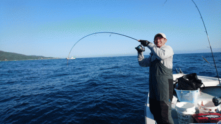 遊漁船ブルーウッズ 釣果