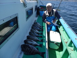 久里浜黒川本家 釣果