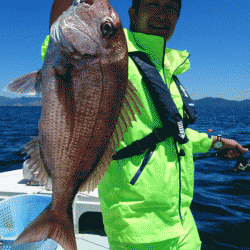 遊漁船ブルーウッズ 釣果