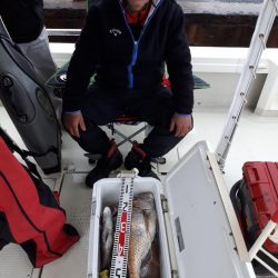 釣り船くわだ 釣果