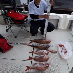 釣り船くわだ 釣果