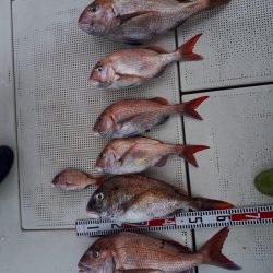 釣り船くわだ 釣果