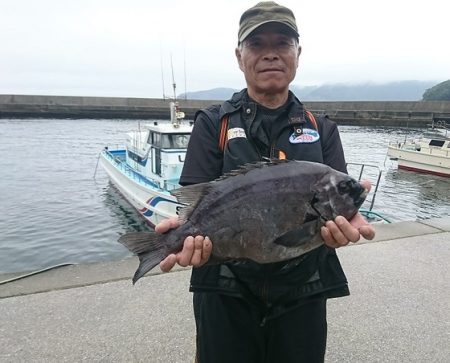 しば渡船 釣果