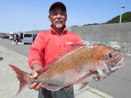 大進丸（新潟） 釣果