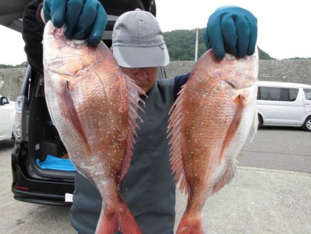 大進丸(新潟) 釣果