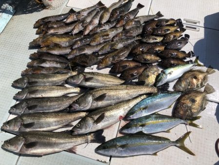 ふじしめ丸 釣果