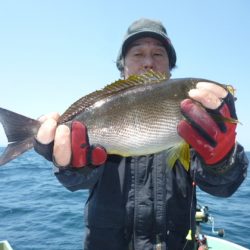 真祐丸 （しんゆうまる） 釣果