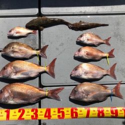 遊漁船高橋 釣果