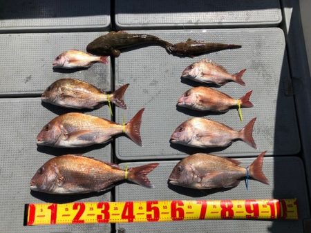 遊漁船高橋 釣果