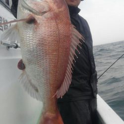 遊漁船 新鋭丸 釣果