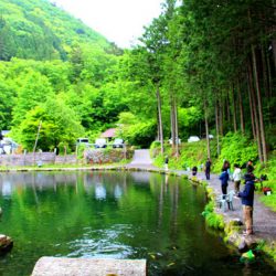 小菅トラウトガーデン 釣果