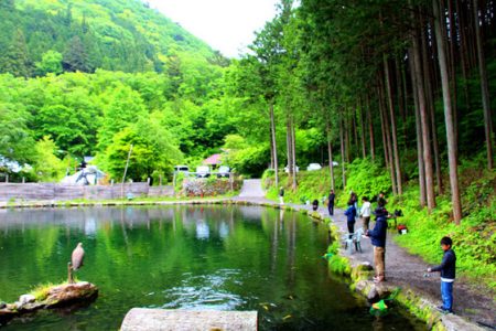 小菅トラウトガーデン 釣果