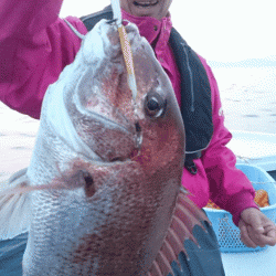 遊漁船ブルーウッズ 釣果