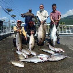フィッシングハウス伊藤 釣果