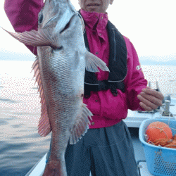 遊漁船ブルーウッズ 釣果