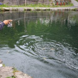 小菅トラウトガーデン 釣果