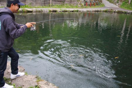 小菅トラウトガーデン 釣果