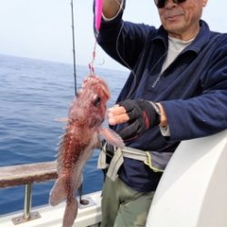 鯛紅丸 釣果