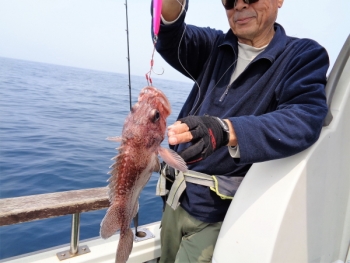 鯛紅丸 釣果