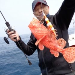 鯛紅丸 釣果