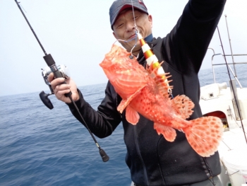 鯛紅丸 釣果