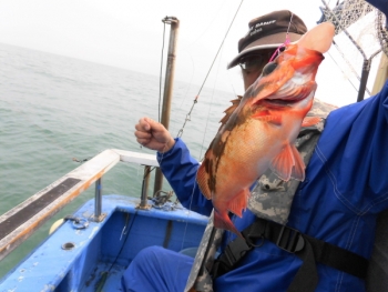 鯛紅丸 釣果
