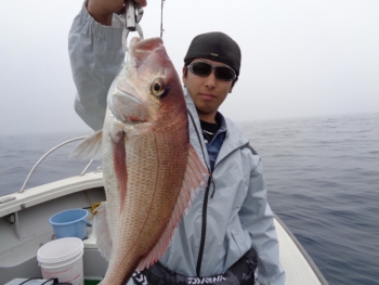 鯛紅丸 釣果