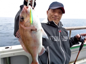 鯛紅丸 釣果