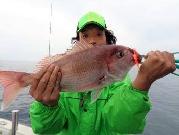 鯛紅丸 釣果