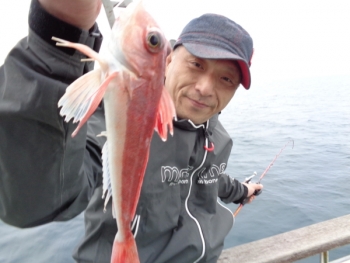 鯛紅丸 釣果