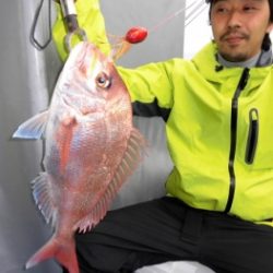 鯛紅丸 釣果