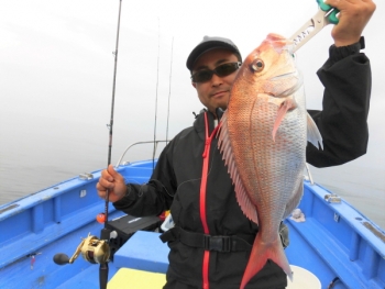 鯛紅丸 釣果
