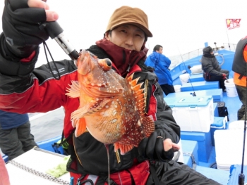 鯛紅丸 釣果