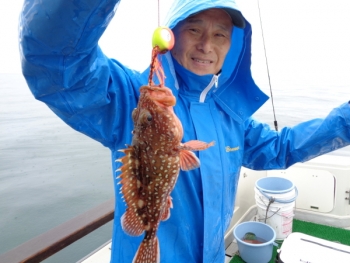 鯛紅丸 釣果